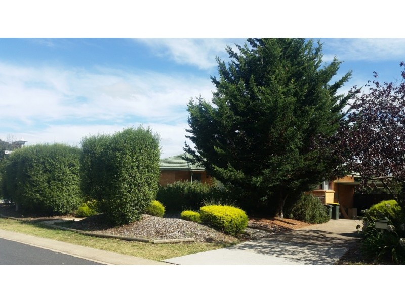 31 Wearing Street, Higgins ACT 2615