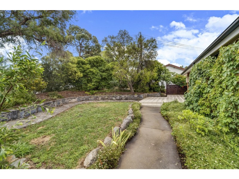21 Atkinson Street, Cook ACT 2614