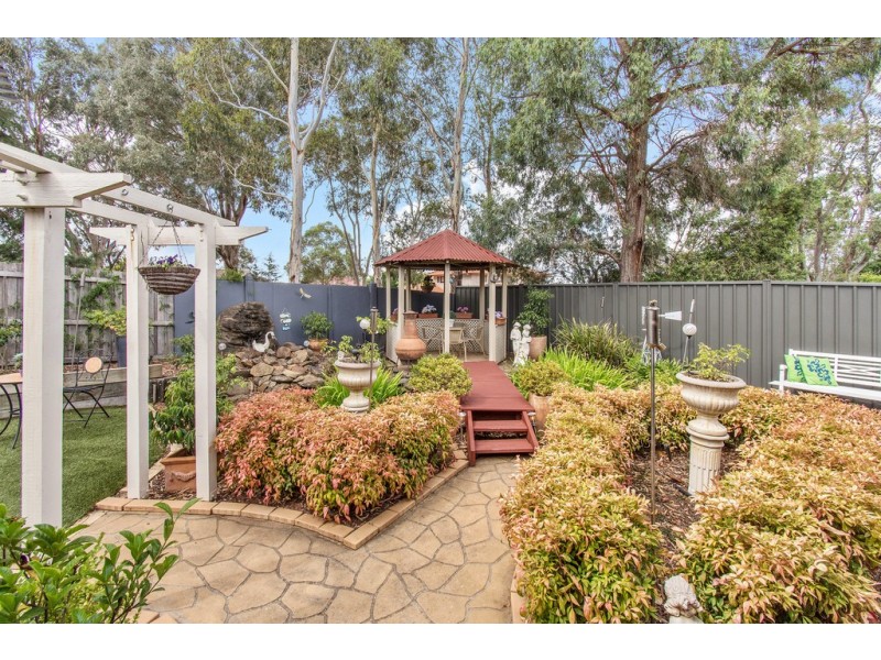 17 Fitzsimmons Street, Nicholls ACT 2913