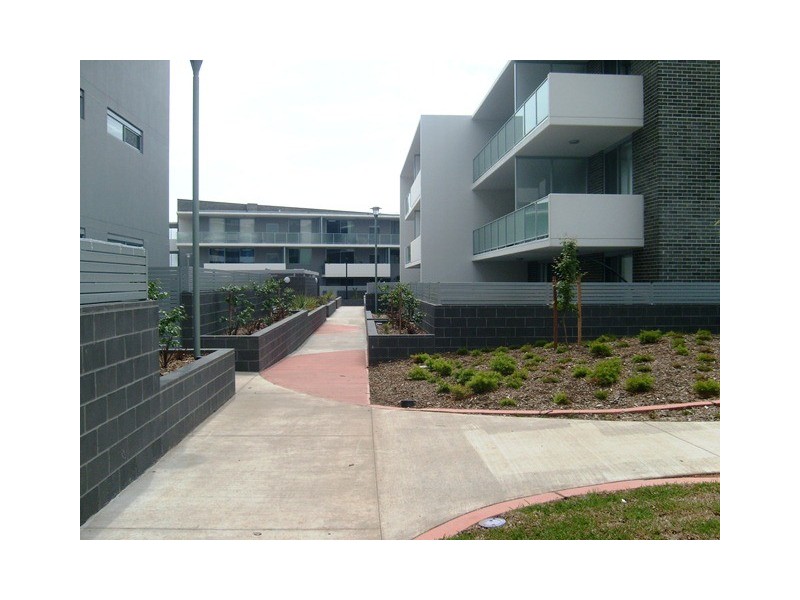 55/8 Baudinette Circuit, Bruce ACT 2617