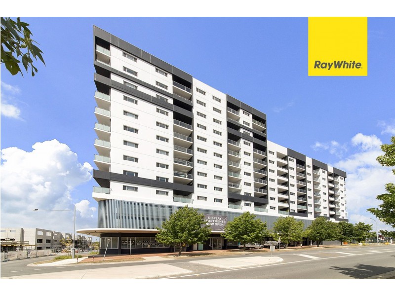 346/325 Anketell Street, Greenway ACT 2900
