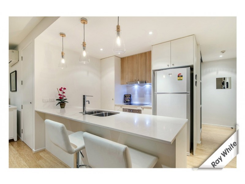4/76 Leichhardt Street, Griffith ACT 2603