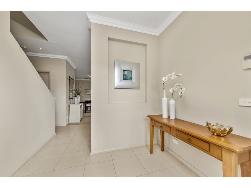 7 Daniels Street, Franklin ACT 2913