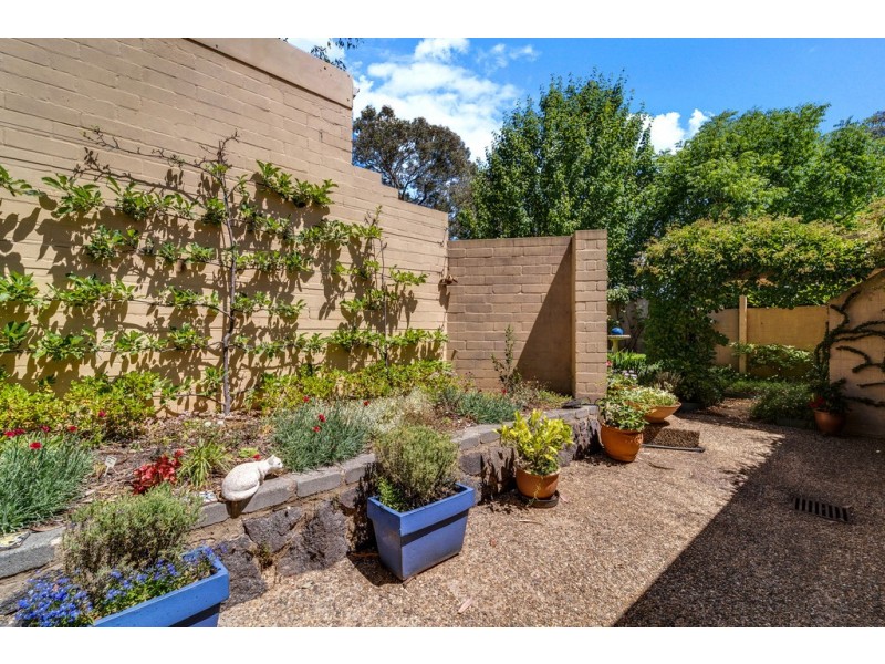 49 Pearson Street, Holder ACT 2611