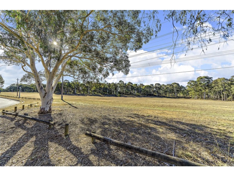 31 Lawrence Close, Macgregor ACT 2615