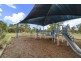 19 Biffin Street, Cook ACT 2614