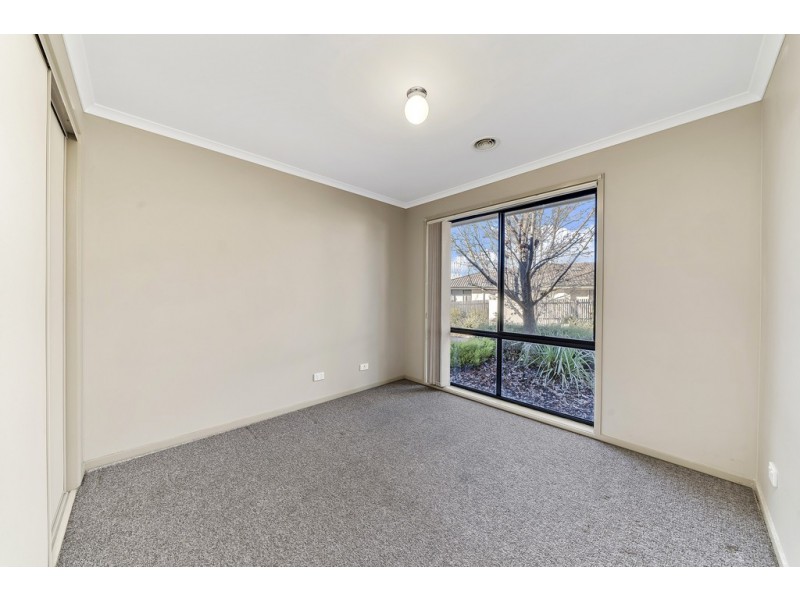 3/5 Buckingham Street, Amaroo ACT 2914