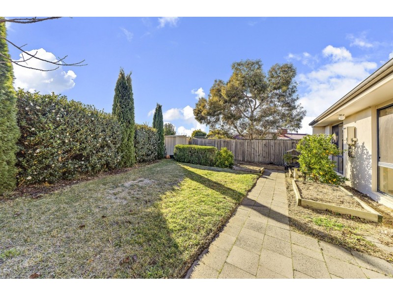 3/5 Buckingham Street, Amaroo ACT 2914