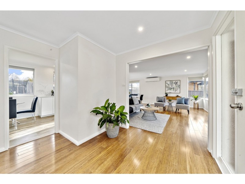 29 Dunstan Street, Curtin ACT 2605