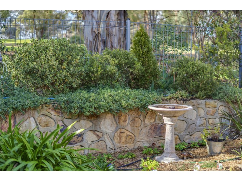53 Britten-Jones Drive, Holt ACT 2615