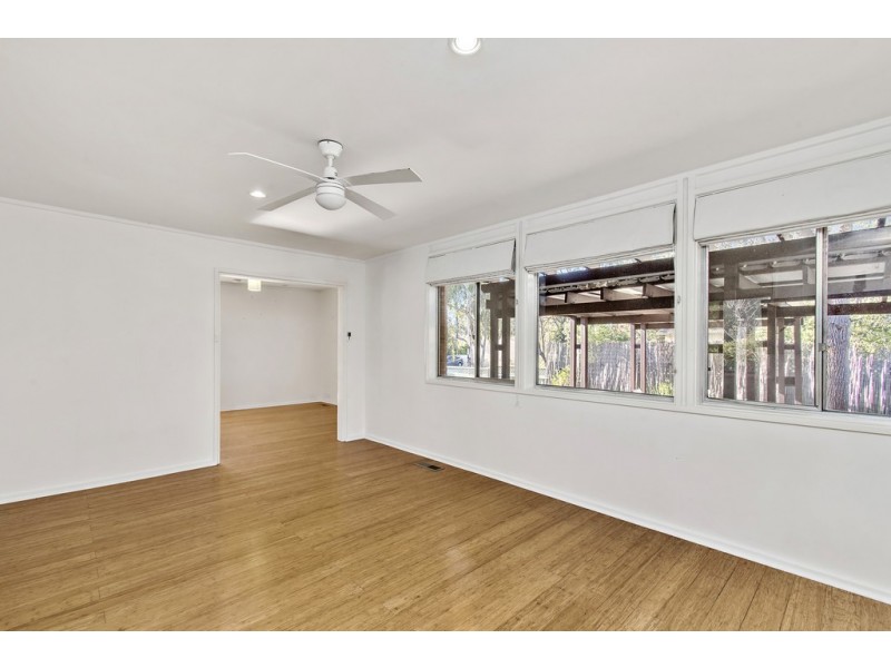 17 Griffiths Street, Holt ACT 2615