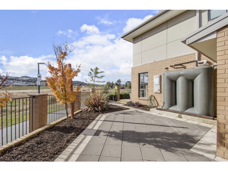 51 Turbayne Crescent, Forde ACT 2914