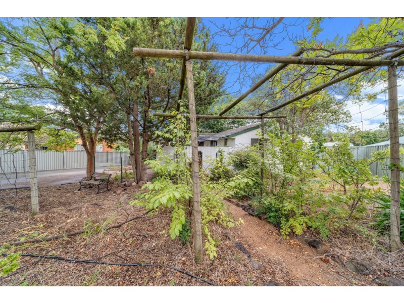 15 Skinner Street, Cook ACT 2614