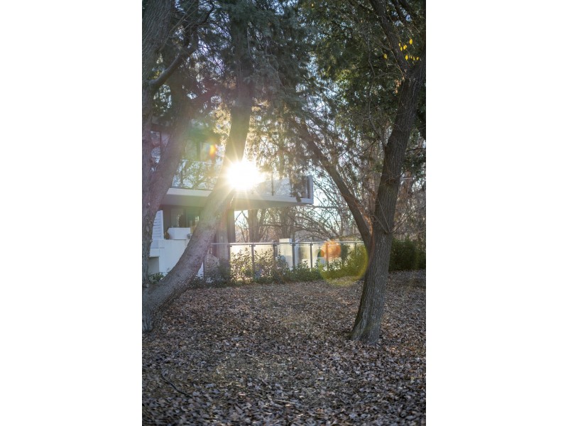 35/18 Austin Street, Griffith ACT 2603