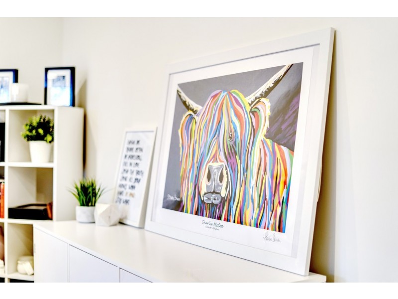 4/14 McGowan Street, Dickson ACT 2602