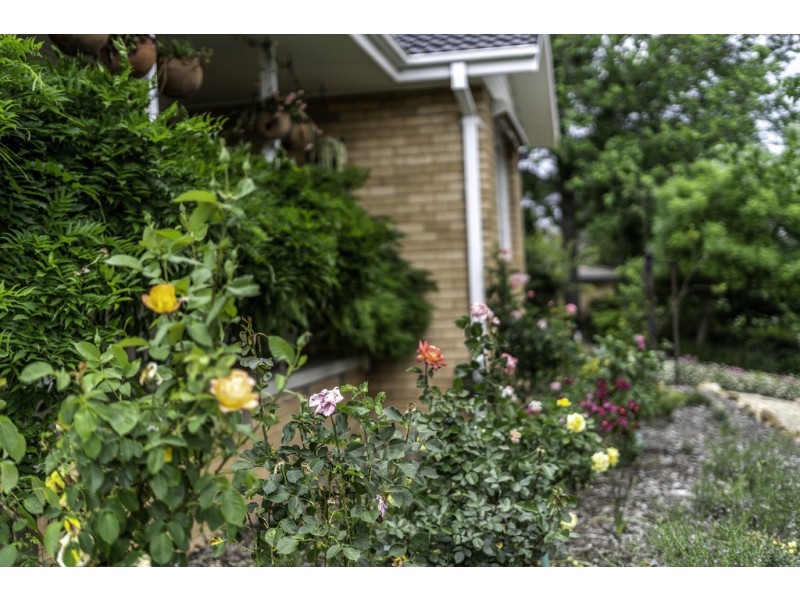 42 Clermont Street, Fisher ACT 2611