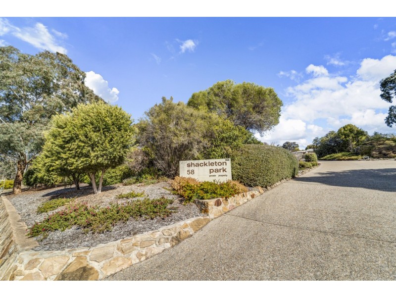 1/58 Shackleton Circuit, Mawson ACT 2607