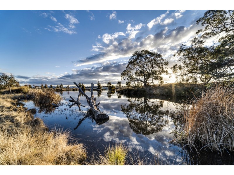 9/35 Laird Crescent, Forde ACT 2914