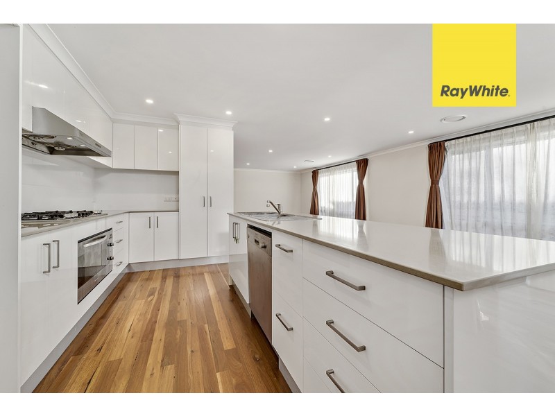 38 Mick Shann Terrace, Casey ACT 2913