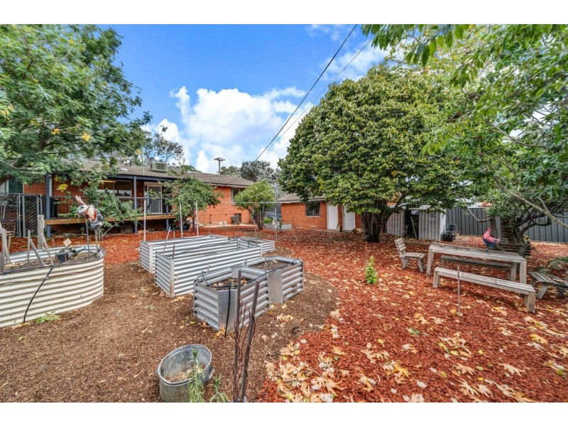 42 Belconnen Way, Page ACT 2614