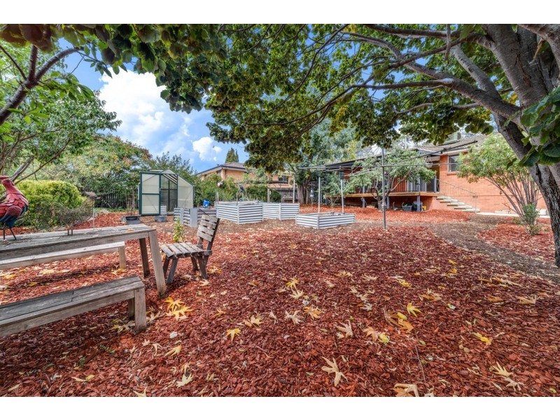 42 Belconnen Way, Page ACT 2614