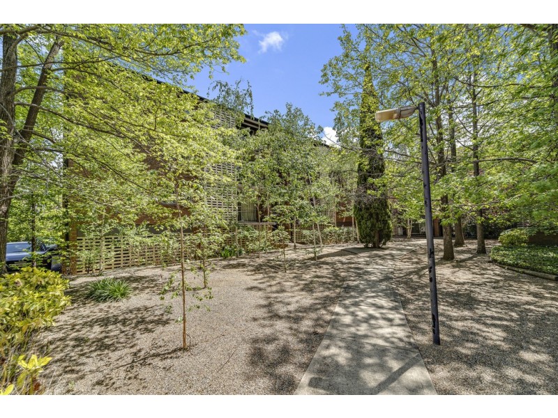 3/99 Canberra Avenue, Griffith ACT 2603