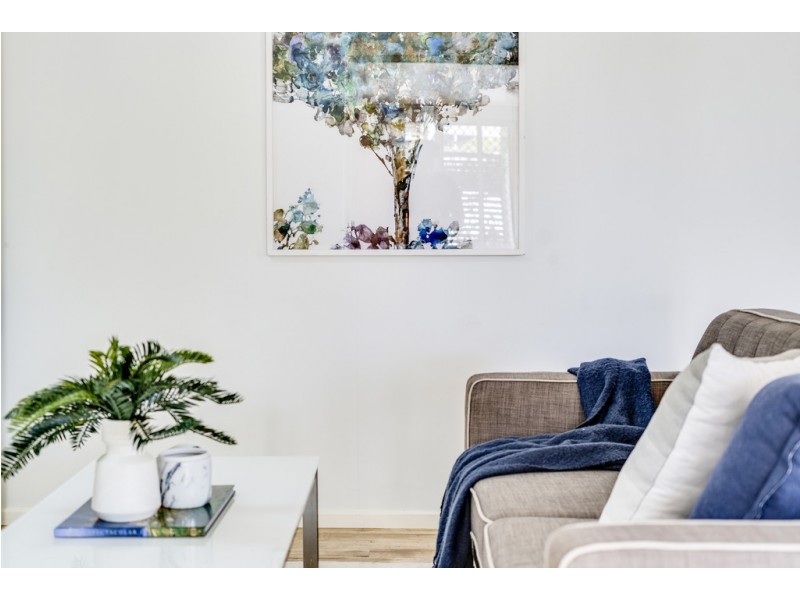 11 Moss Street, Cook ACT 2614