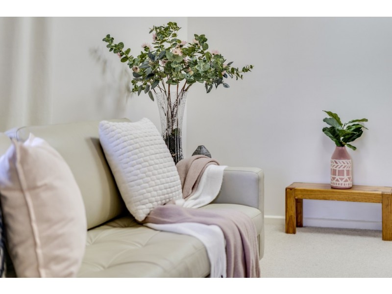 11 Moss Street, Cook ACT 2614