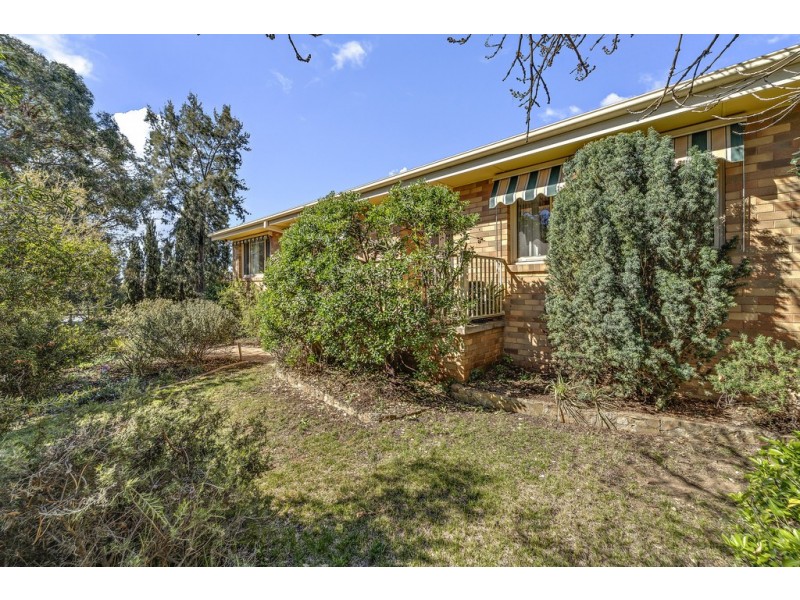 11 Moss Street, Cook ACT 2614