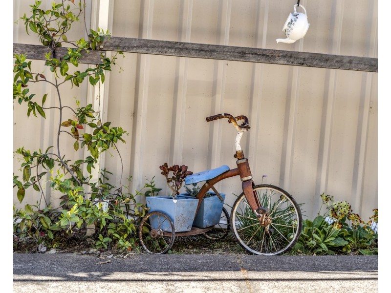 11 Moss Street, Cook ACT 2614