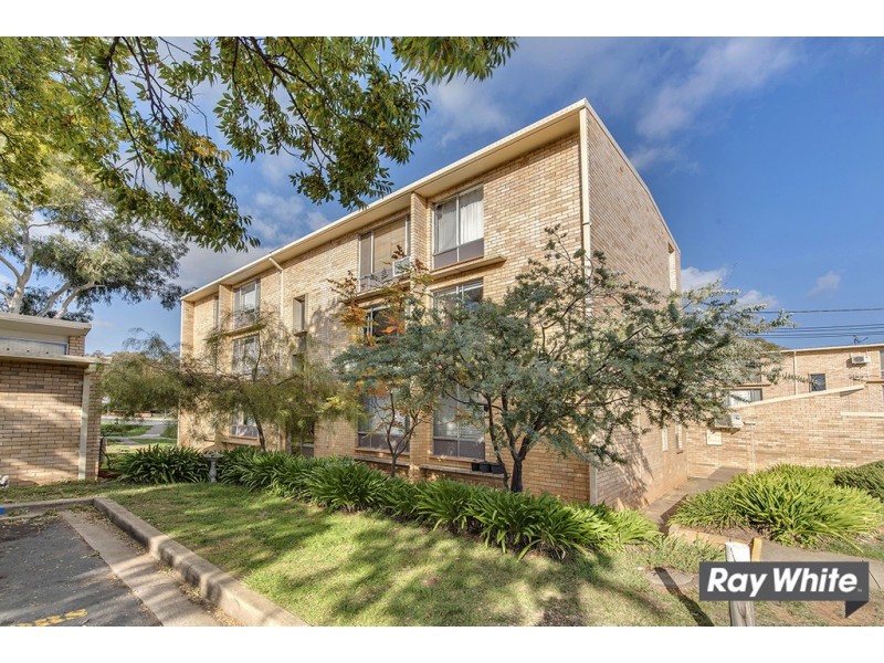 12/143 Carruthers Street, Curtin ACT 2605