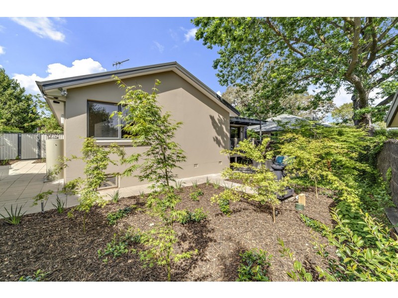 19 Bisdee Street, Hughes ACT 2605