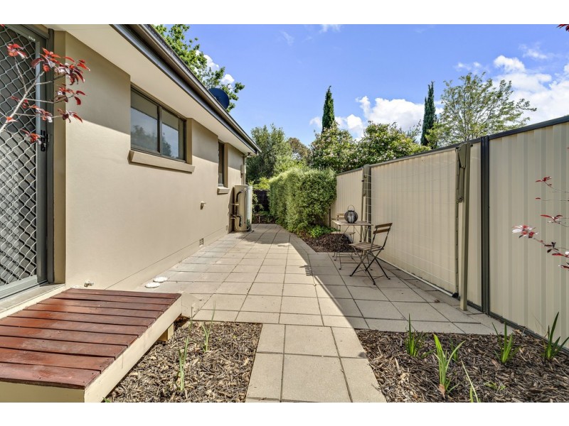 19 Bisdee Street, Hughes ACT 2605