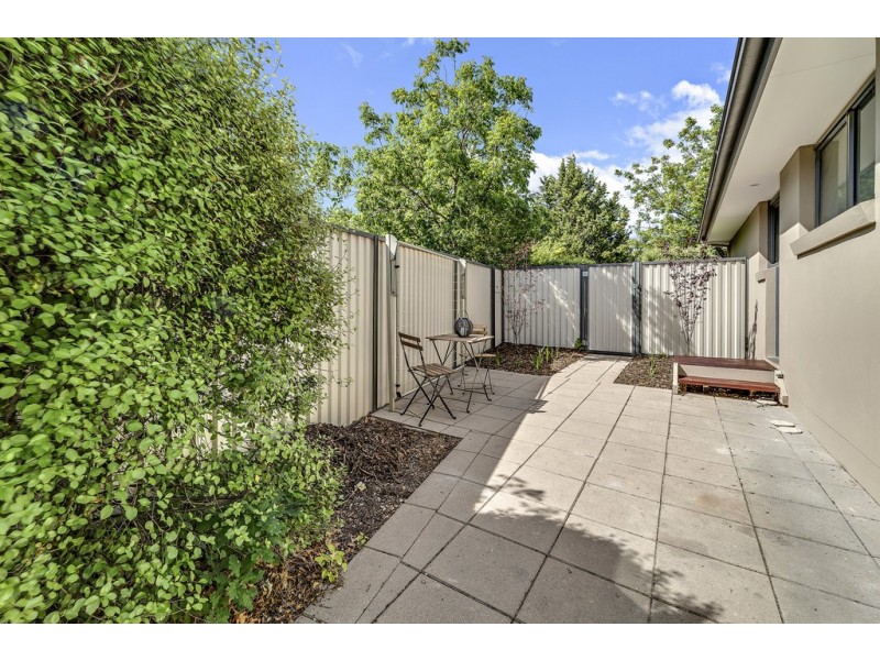 19 Bisdee Street, Hughes ACT 2605