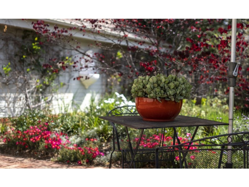 19 Hooker Street, Yarralumla ACT 2600