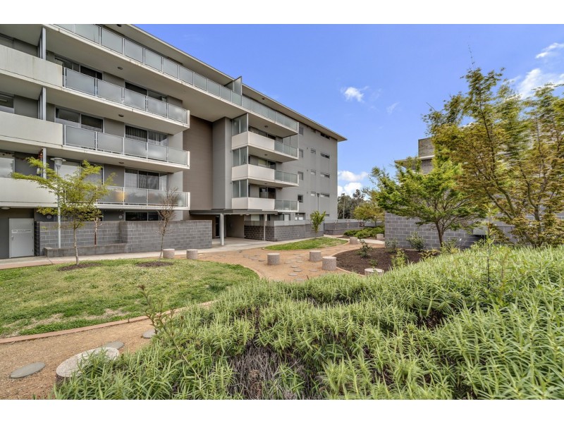 4/8 Baudinette Circuit, Bruce ACT 2617