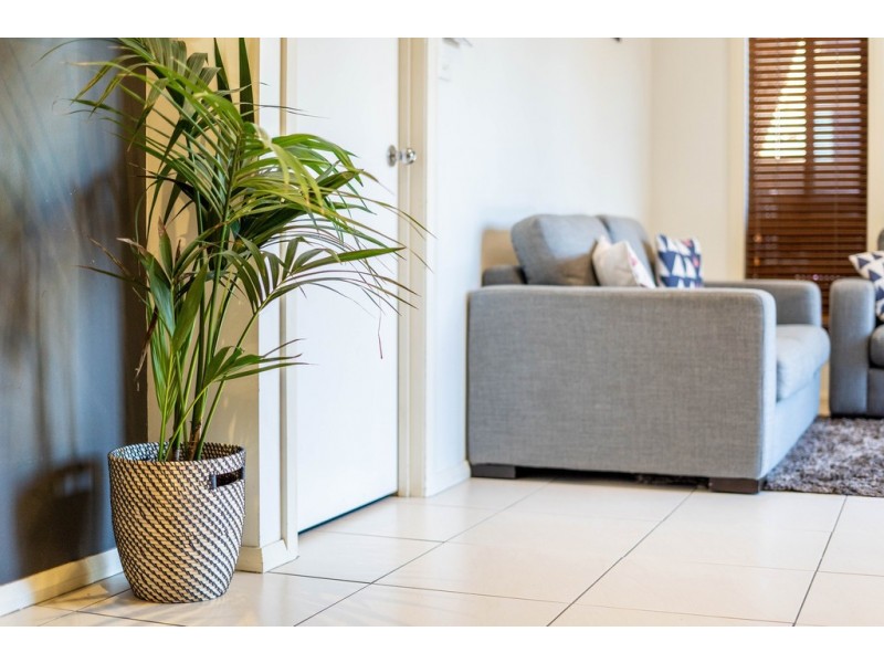 1/12 Redwater Place, Amaroo ACT 2914
