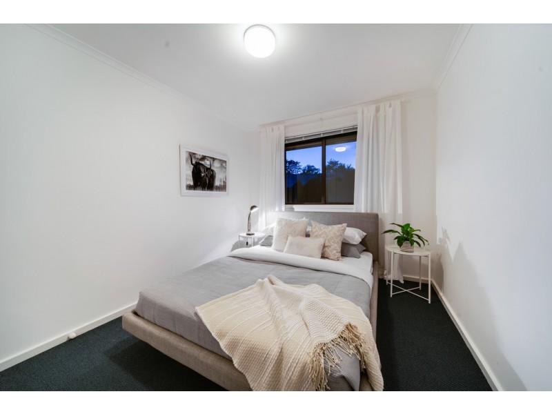 46 Davidson Street, Higgins ACT 2615