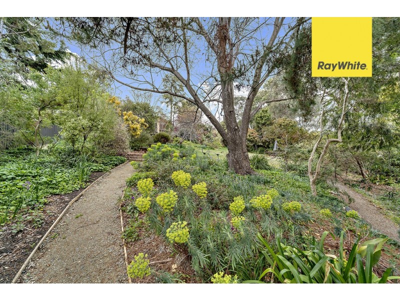 111 Shackleton Circuit, Mawson ACT 2607