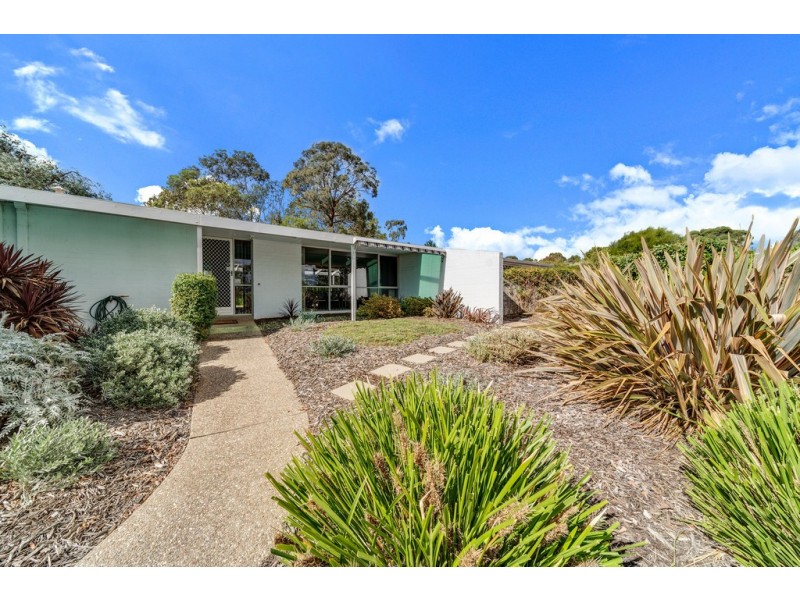 14/146 Shackleton Circuit, Mawson ACT 2607