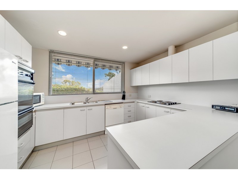 14/146 Shackleton Circuit, Mawson ACT 2607