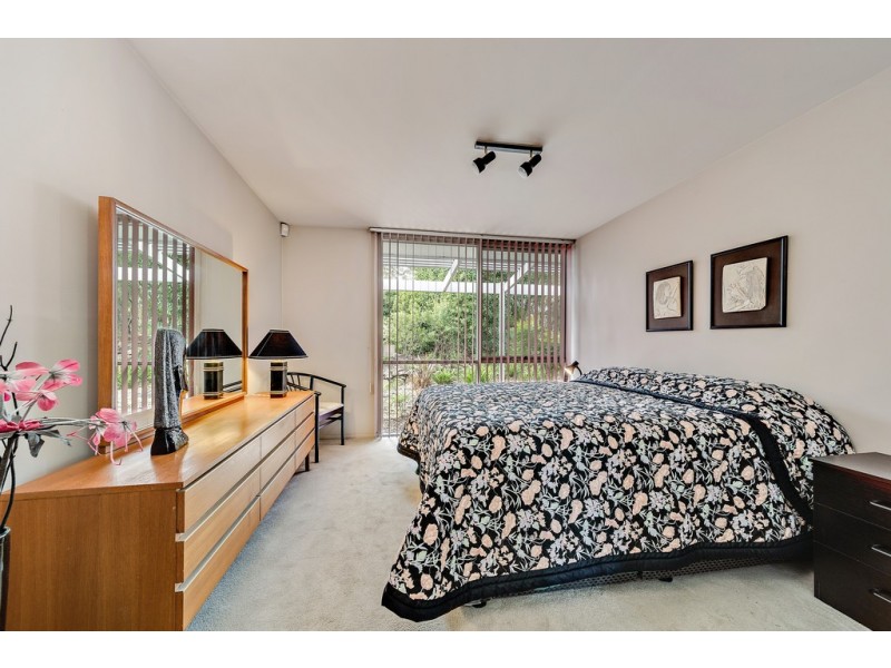 14/146 Shackleton Circuit, Mawson ACT 2607