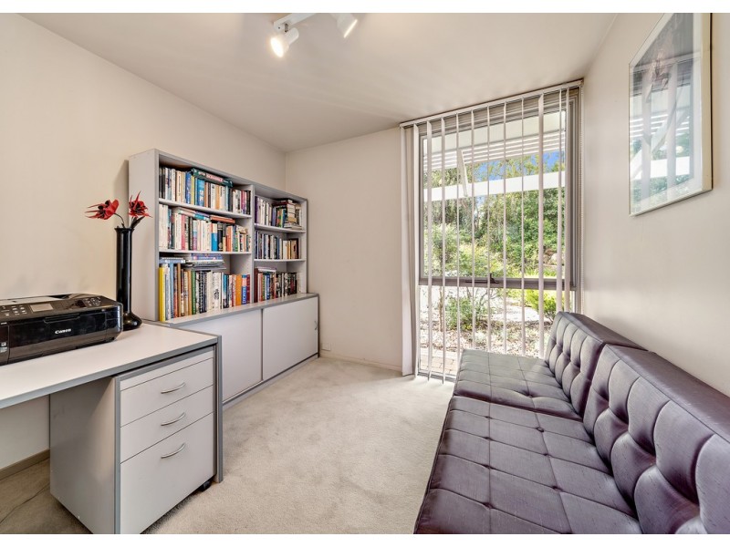 14/146 Shackleton Circuit, Mawson ACT 2607