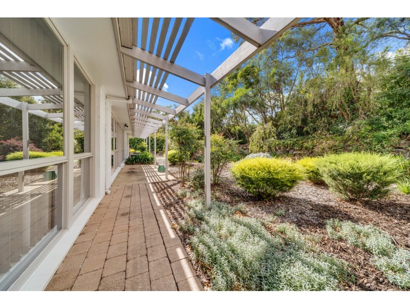 14/146 Shackleton Circuit, Mawson ACT 2607