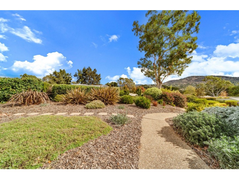 14/146 Shackleton Circuit, Mawson ACT 2607