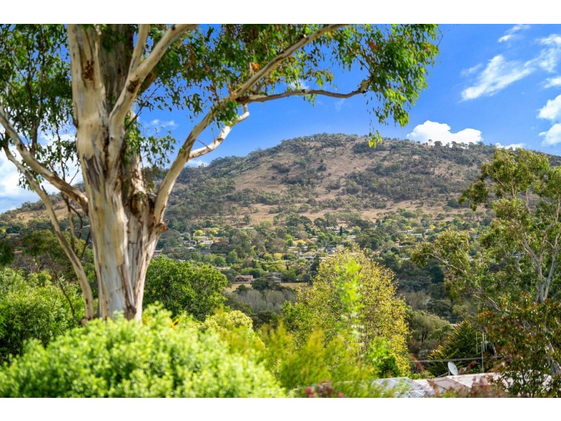 14/146 Shackleton Circuit, Mawson ACT 2607