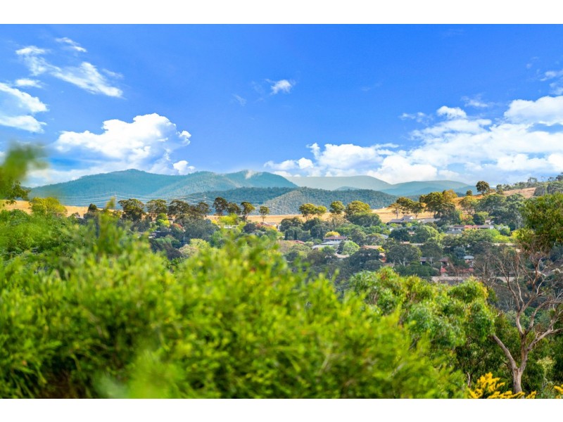 14/146 Shackleton Circuit, Mawson ACT 2607