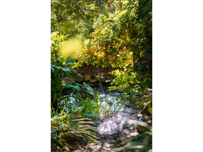 41 Halloran Drive, Jerrabomberra NSW 2619