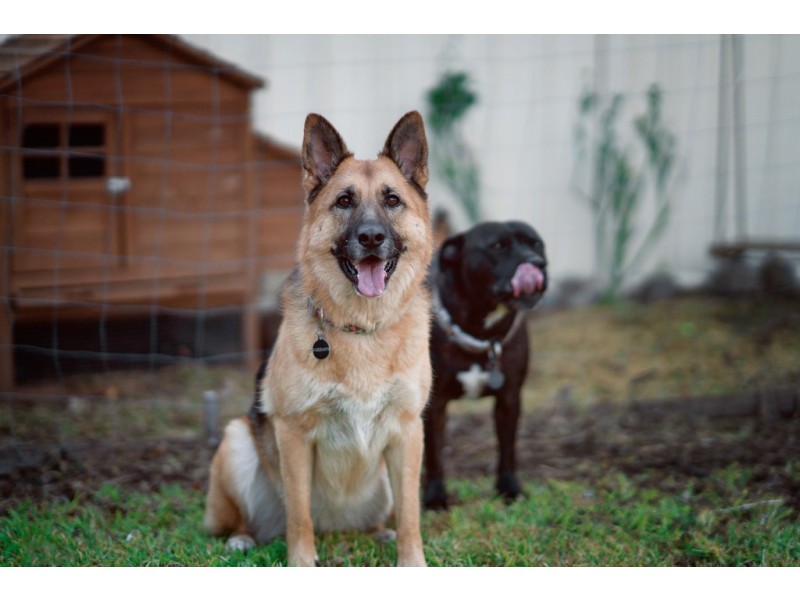 22 Reader Court, Banks ACT 2906