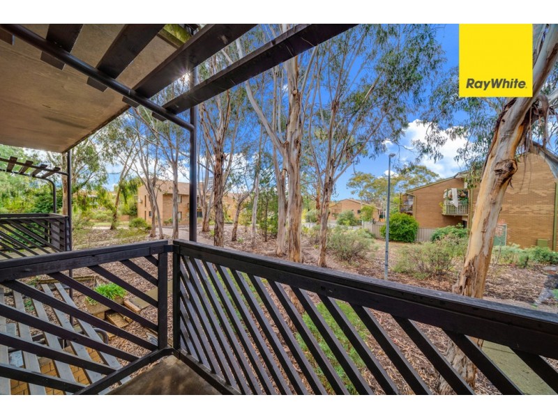 31/31 Disney Court, Belconnen ACT 2617